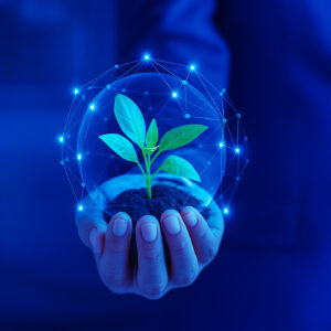 fakhruddintrading-our-brand-promise